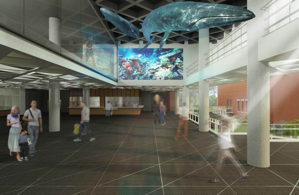 Another view of BIMS main entrance hall